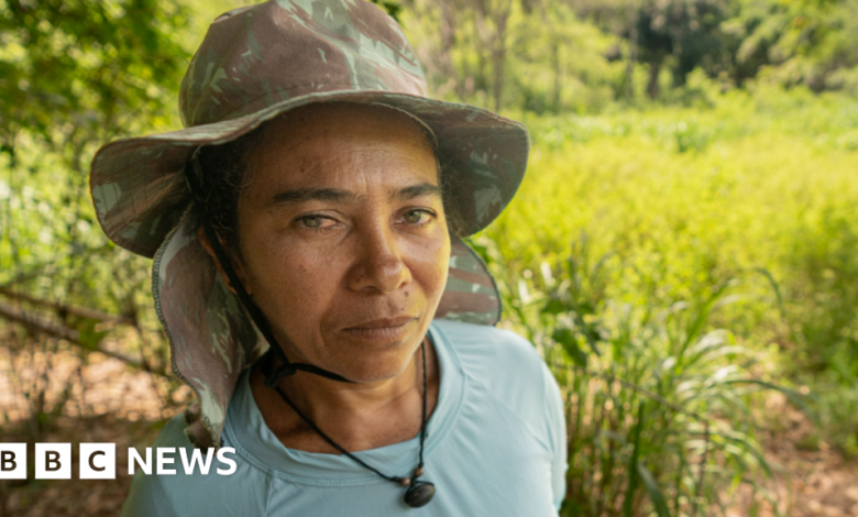 133156527 capture.png