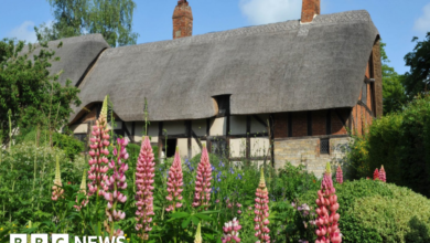 3c4cfa30 cc03 11ee a297 cb62ff2a5437.png