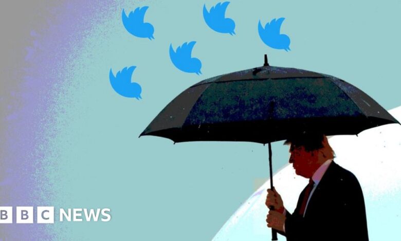 97155482 trumpumbrella.jpg