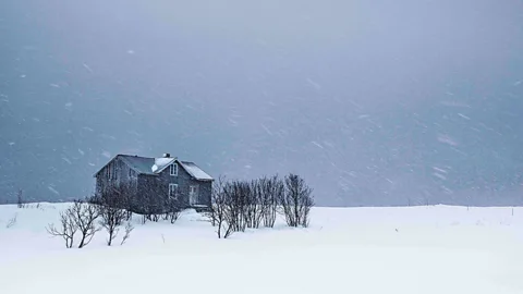 Mark McColl (Credit: Mark McColl)