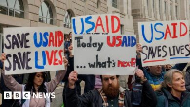 177687f0 e280 11ef bf78 8ba219386e40.jpg