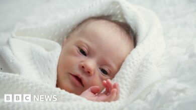 97083074 gettyimages 453025289.jpg