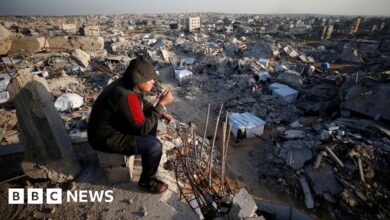 093d6b50 f9bd 11ef 9e61 71ee71f26eb1.jpg