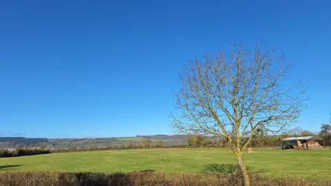Hamish A BBC weather watcher has taken a photograph of a single bare tree and a neatly trimmed hedgerow, which is in front of a field of grass with hills in the background and a vibrant clear blue sky.