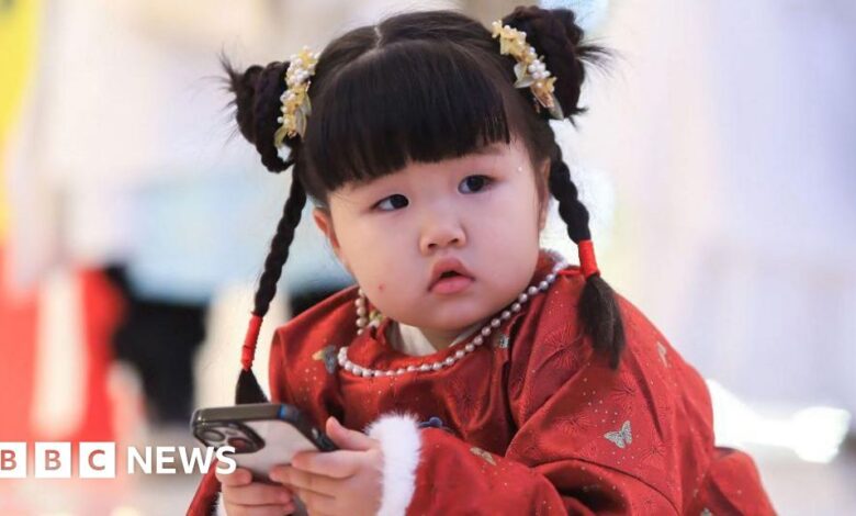 3d6b7190 16a2 11f0 b2d2 fdaed6fdfe2b.jpg