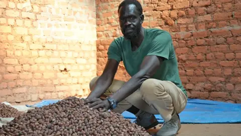 BBC Mustafa Gerima squats and puts his hands on a pile of shea nuts