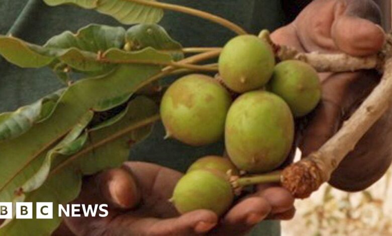 8f7f9a60 26a1 11f0 8c66 ebf25fc2cfef.jpg