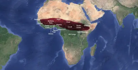 A map of Africa showing areas of Senegal, Guinea, Ivory Coast, Ghana, Togo, 	Mali, Burkina Faso, Benin, Niger, Nigeria, Cameroon, Chad, Central African Republic, DR Congo, Sudan, South Sudan, Uganda, Kenya and Ethiopia where shea nut trees grow.