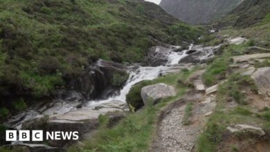 48de93e0 4c26 11f0 86d5 3b52b53af158.jpg