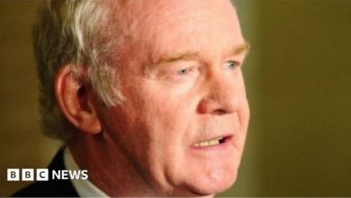 95238599 93680821 martinmcguinness2.jpg