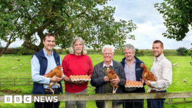 da830bf0 7520 11f0 92e9 9f6f0dd72956.png