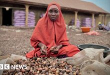 ba029040 97cf 11f0 928c 71dbb8619e94.jpg